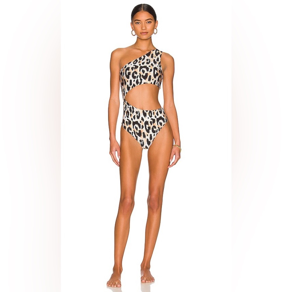 Beach Riot Celine Leopard Print One Piece Swimsuit